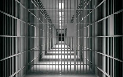 فیلم عملیات حیرت‌انگیز فرار از زندان با حفر تونل ۳۲۰ متری