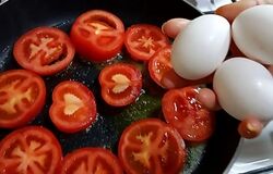 صادرات تخم مرغ، گوجه و خرما ممنوع شد