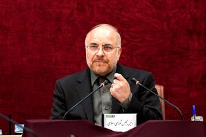 عکس های همسر و نوه های محمد باقر قالیباف