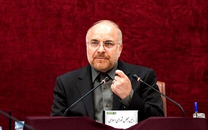 عکس های همسر و نوه های محمد باقر قالیباف