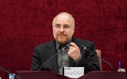 عکس های همسر و نوه های محمد باقر قالیباف