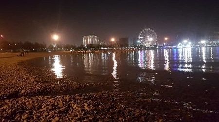 ماجرای حشرات ریز دریاچه شهدای خلیج فارس چیست؟