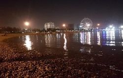 ماجرای حشرات ریز دریاچه شهدای خلیج فارس چیست؟