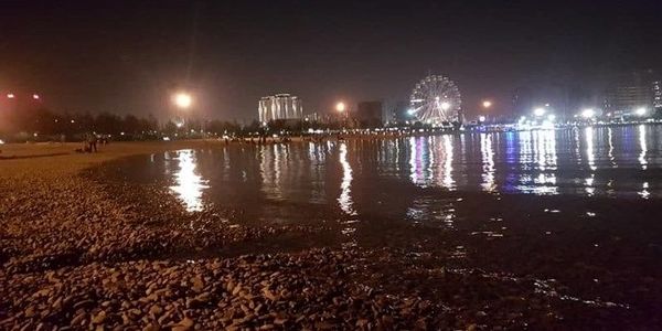 ماجرای حشرات ریز دریاچه شهدای خلیج فارس چیست؟