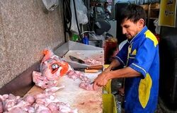 قیمت جدید مرغ اعلام شد