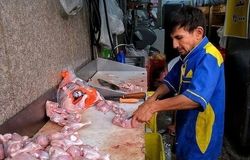 قیمت جدید مرغ اعلام شد