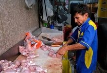 قیمت جدید مرغ اعلام شد