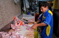 قیمت جدید مرغ اعلام شد
