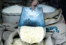 برنج ارزان شد