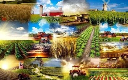 صادرات تمامی محصولات غذایی و کشاورزی ممنوع شد