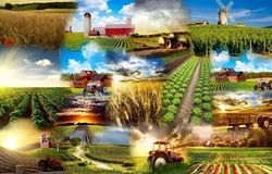 صادرات تمامی محصولات غذایی و کشاورزی ممنوع شد