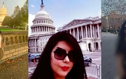 بازداشت دست راست رضا پهلوی در خاک ایران/ نازنین برادران کیست؟