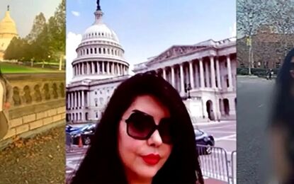 بازداشت دست راست رضا پهلوی در خاک ایران/ نازنین برادران کیست؟