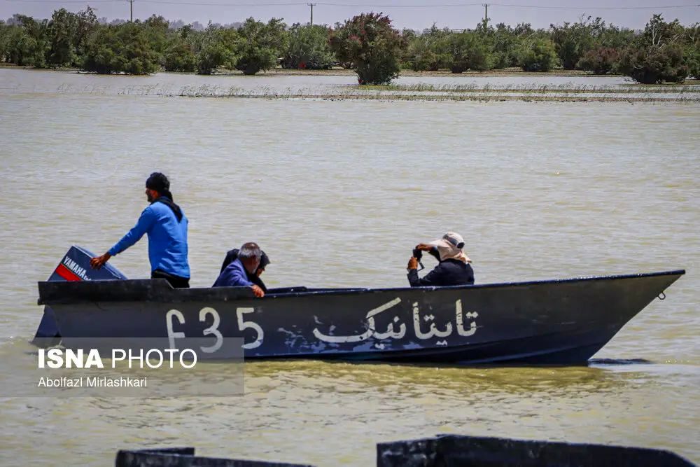 63828257_abolfazl-mirlashkari-21-of-25-