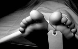 تکرار قتل الهه حسین‌نژاد برای دختری دیگر