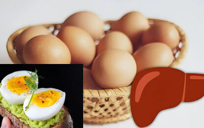 تخم‌ مرغ برای کبد مفید است یا مضر؟