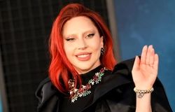 «لیدی گاگا» در یک مراسم فوتوکال در برلین/ عکس