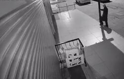 کتک زدن بی‌رحمانه پیرمرد ۹۳ ساله توسط یک معتاد/ ویدئو