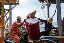 نفت دوباره گران شد