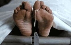 قوه قضاییه: خبرسازی عوامل رسانه‌ای موساد از تعداد قربانیان حوادث تروریستی اخیر ایران کذب است/ شماره درج شده روی کاور متوفیان، شماره جواز دفن است نه آمار کشته شده‌ها