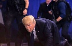 نقشه «بازاری» ترامپ برای ایران/ در سر دونالد چه می گذرد/ یک قدم فاصله تا جنگ؛ این یک قدم برداشته می شود؟