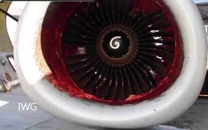 لحظه تکه تکه شدن یک مرد داخل موتور جت/ ویدئو