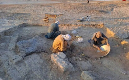 «بازی» 4600 ساله در شهر سوختۀ سیستان پیدا شد