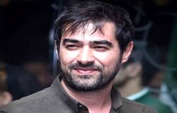 حسادت همسر سابق شهاب حسینی به معروفیت او/ ویدئو