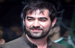 حسادت همسر سابق شهاب حسینی به معروفیت او/ ویدئو